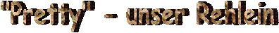 "Pretty" - unser Rehlein